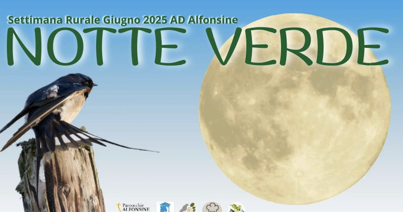 Notte Verde